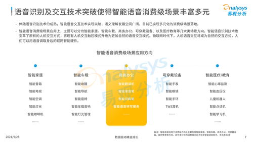 中国智能语音转写工具行业发展洞察2021 人工智能应用软件开发的趋势与前景